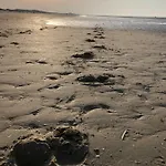 Vissershuisjes 'duinendaele 65' Prázdninový dům De Panne