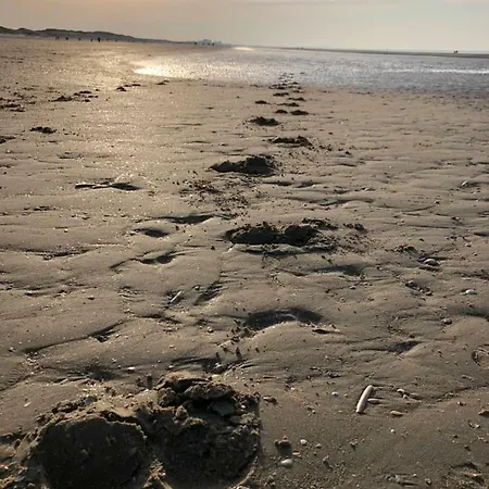 Vissershuisjes 'duinendaele 65' Holiday home De Panne